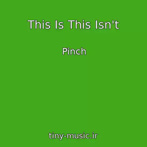 کاور آهنگ This Is This Isn't از Pinch