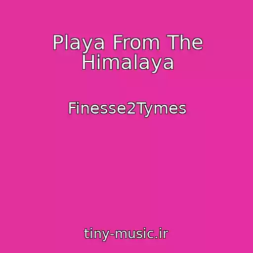 کاور آهنگ Playa From The Himalaya از Finesse2Tymes