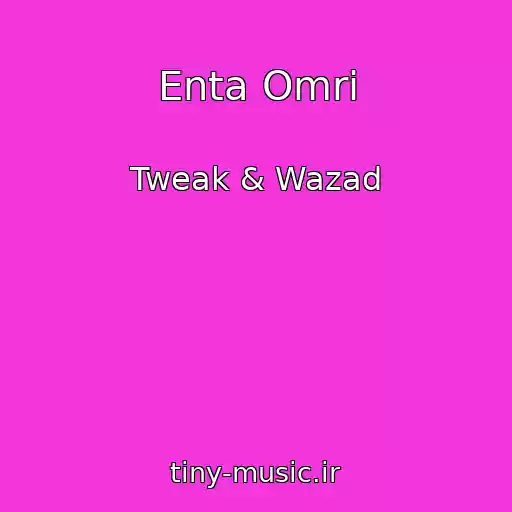 کاور آهنگ Enta Omri از Tweak & Wazad