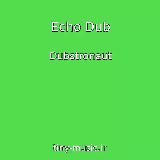 کاور آهنگ Echo Dub از Dubstronaut