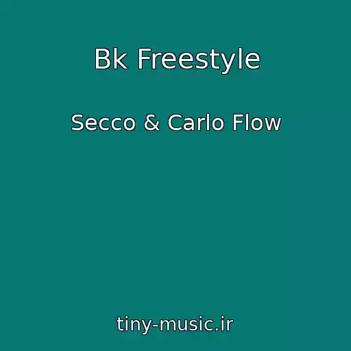 کاور آهنگ Bk Freestyle از Secco & Carlo Flow