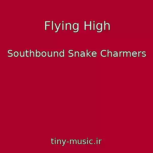 کاور آهنگ Flying High از Southbound Snake Charmers