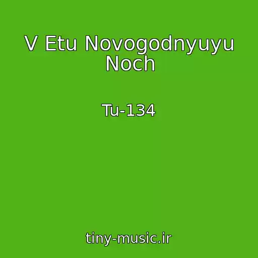 کاور آهنگ V Etu Novogodnyuyu Noch از Tu-134