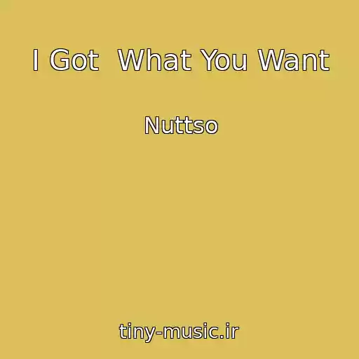 کاور آهنگ I Got  What You Want از Nuttso