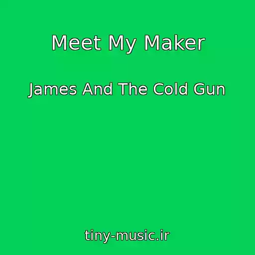 کاور آهنگ Meet My Maker از James And The Cold Gun