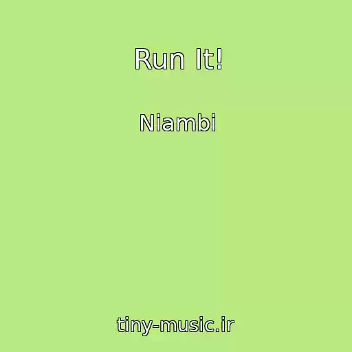 کاور آهنگ Run It! از Niambi