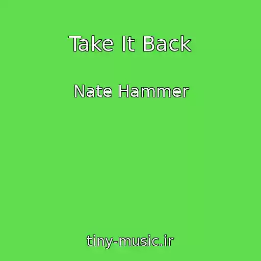 کاور آهنگ Take It Back از Nate Hammer