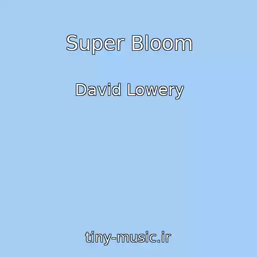 کاور آهنگ Super Bloom از David Lowery