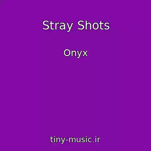 کاور آهنگ Stray Shots از Onyx