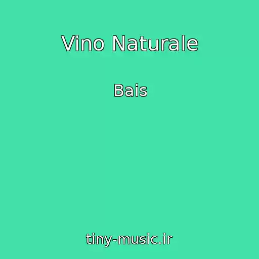 کاور آهنگ Vino Naturale از Bais