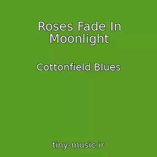 کاور آهنگ Roses Fade In Moonlight از Cottonfield Blues