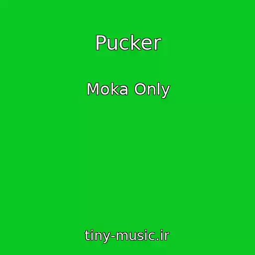 کاور آهنگ Pucker از Moka Only