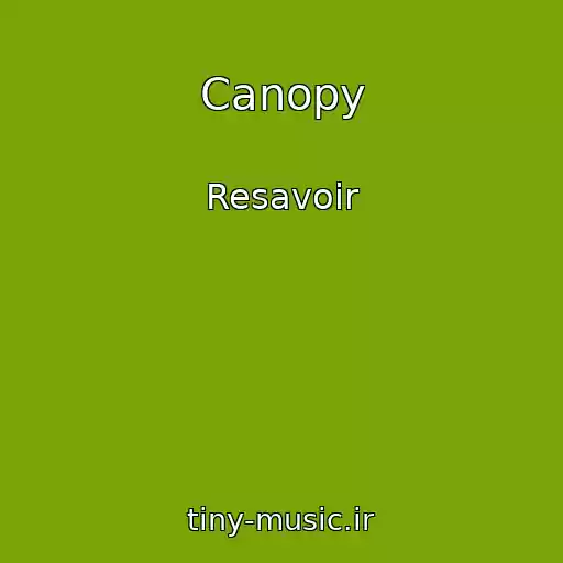 کاور آهنگ Canopy از Resavoir
