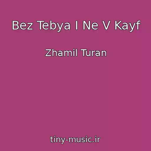 کاور آهنگ Bez Tebya I Ne V Kayf از Zhamil Turan