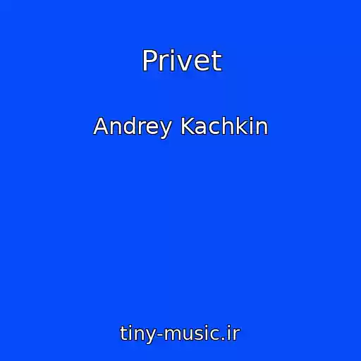 کاور آهنگ Privet از Andrey Kachkin