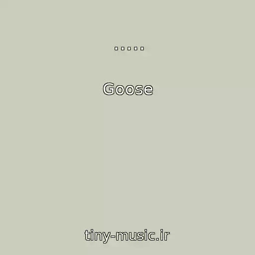 کاور آهنگ ..... از Goose