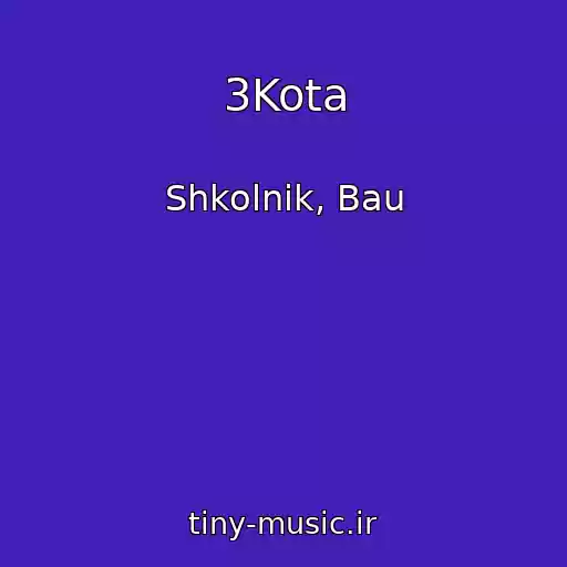 کاور آهنگ 3Kota از Shkolnik, Bau