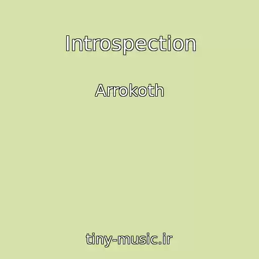 کاور آهنگ Introspection از Arrokoth