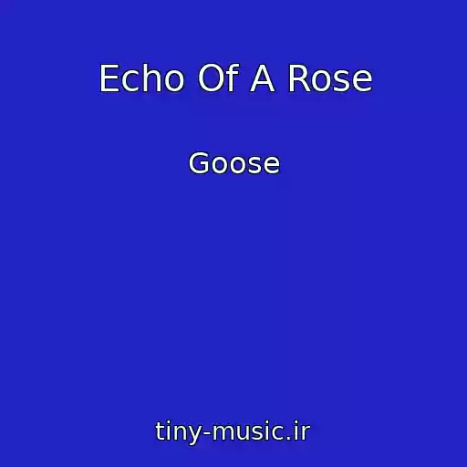 کاور آهنگ Echo Of A Rose از Goose