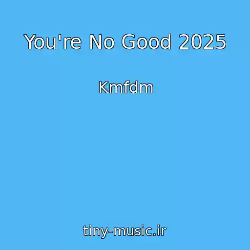 کاور آهنگ You're No Good 2025 از Kmfdm