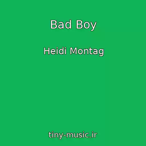 کاور آهنگ Bad Boy از Heidi Montag