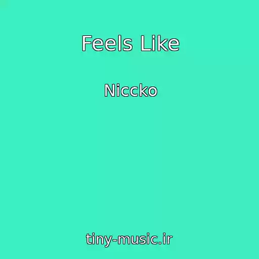 کاور آهنگ Feels Like از Niccko