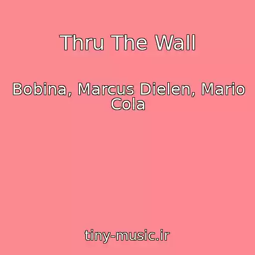 کاور آهنگ Thru The Wall از Bobina, Marcus Dielen, Mario Cola