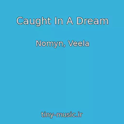 کاور آهنگ Caught In A Dream از Nomyn, Veela