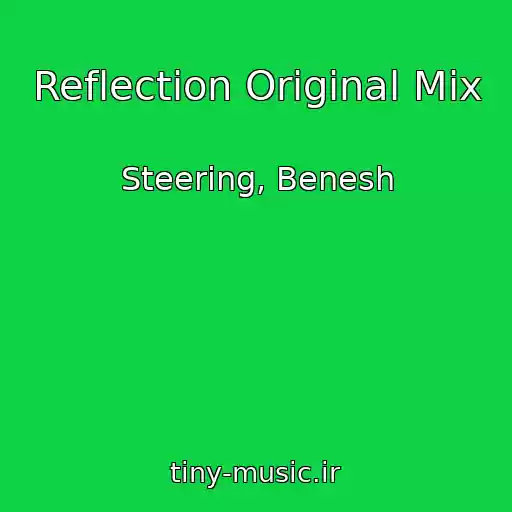 کاور آهنگ Reflection Original Mix از Steering, Benesh