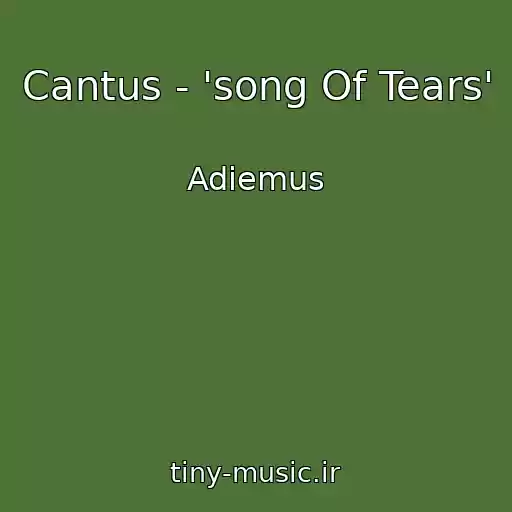 کاور آهنگ Cantus - 'song Of Tears' از Adiemus