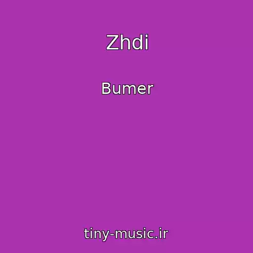 کاور آهنگ Zhdi از Bumer