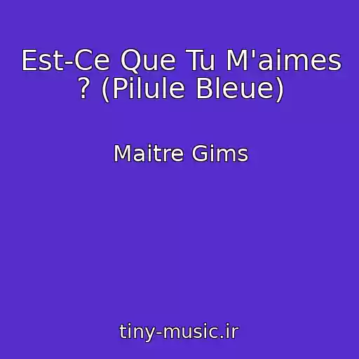 کاور آهنگ Est-Ce Que Tu M'aimes ? (Pilule Bleue) از Maitre Gims