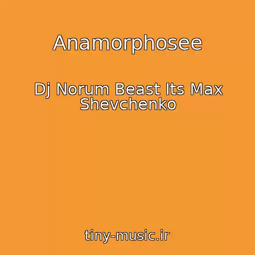 کاور آهنگ Anamorphosee از Dj Norum Beast Its Max Shevchenko