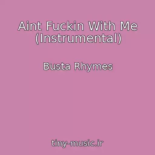 کاور آهنگ Aint Fuckin With Me (Instrumental) از Busta Rhymes
