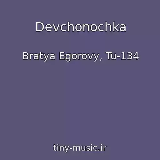 کاور آهنگ Devchonochka از Bratya Egorovy, Tu-134