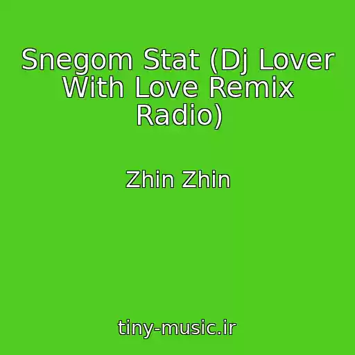 کاور آهنگ Snegom Stat (Dj Lover With Love Remix Radio) از Zhin Zhin