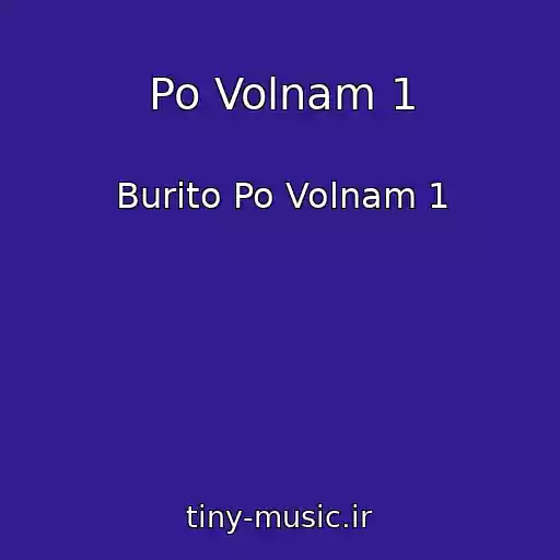 کاور آهنگ Po Volnam 1 از Burito Po Volnam 1