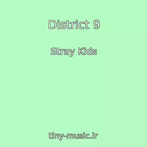 کاور آهنگ District 9 از Stray Kids