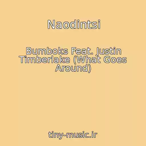 کاور آهنگ Naodintsі از Bumboks Feat. Justin Timberlake (What Goes Around)