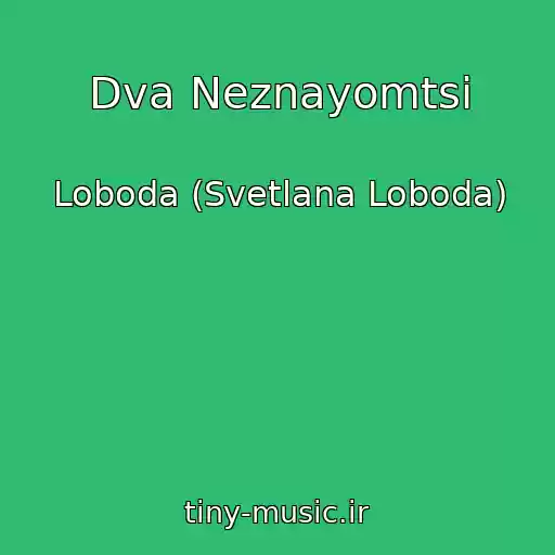 کاور آهنگ Dva Neznayomtsі از Loboda (Svetlana Loboda)