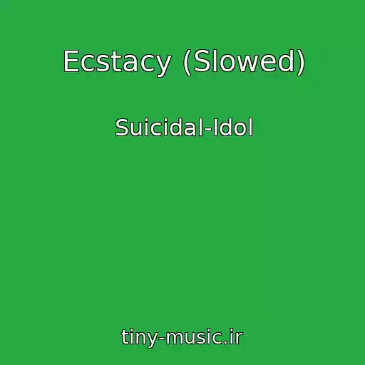 کاور آهنگ Ecstacy (Slowed) از Suicidal-Idol