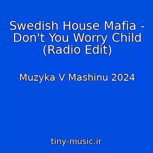 کاور آهنگ Swedish House Mafia - Don't You Worry Child (Radio Edit) از Muzyka V Mashinu 2024
