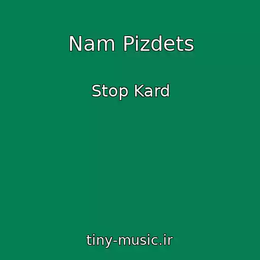 کاور آهنگ Nam Pizdets از Stop Kard