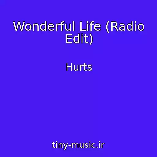 کاور آهنگ Wonderful Life (Radio Edit) از Hurts