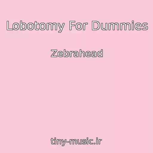 کاور آهنگ Lobotomy For Dummies از Zebrahead