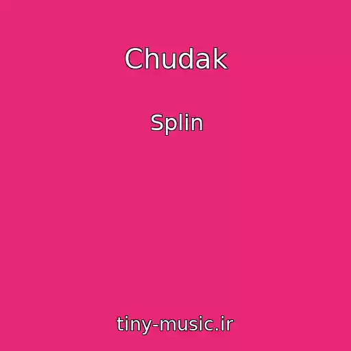 کاور آهنگ Chudak از Splin