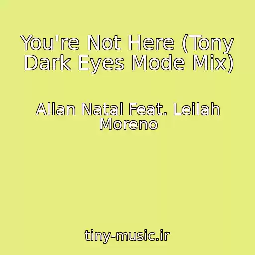 کاور آهنگ You're Not Here (Tony Dark Eyes Mode Mix) از Allan Natal Feat. Leilah Moreno