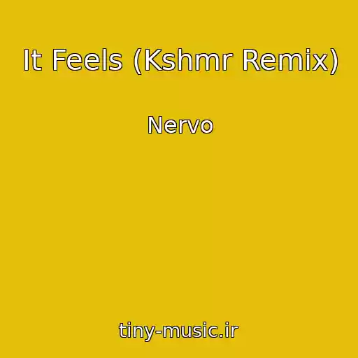 کاور آهنگ It Feels (Kshmr Remix) از Nervo