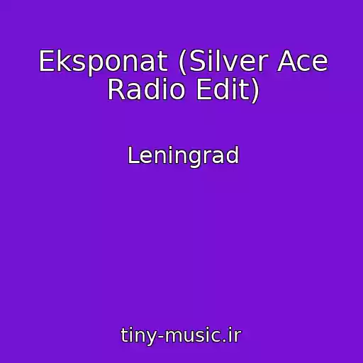 کاور آهنگ Eksponat (Silver Ace Radio Edit) از Leningrad