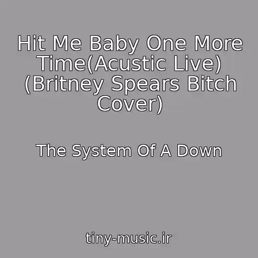 کاور آهنگ Hit Me Baby One More Time(Acustic Live) (Britney Spears Bitch Cover) از The System Of A Down